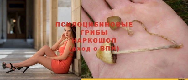 а пвп мука Касимов