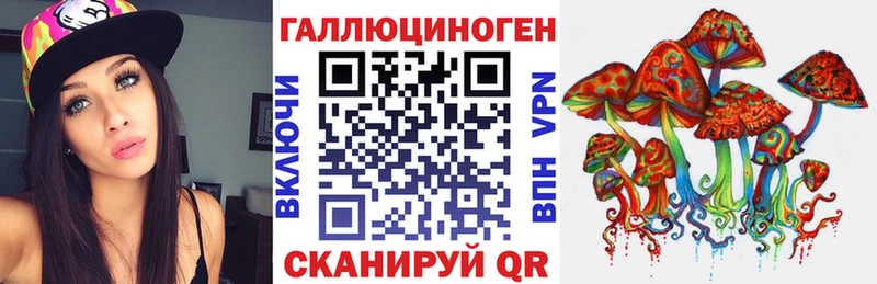 купить наркотик мега зеркало маркетплейс телеграм Слюдянка Галлюциногенные грибы Cubensis