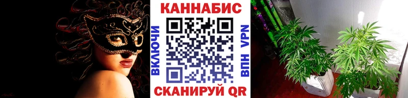 кракен вход  Слюдянка  Бошки Шишки сатива  магазин  наркотиков 